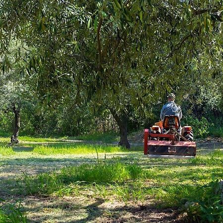 A Charming Country Cottage + Bikes And Kayaks Bosa Esterno foto