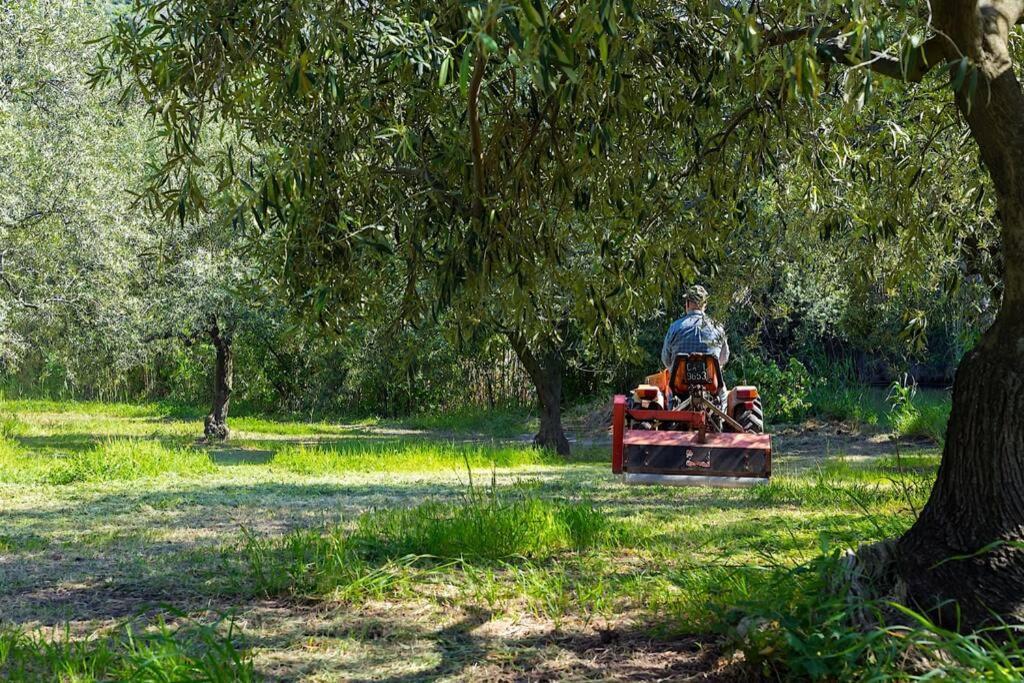 A Charming Country Cottage + Bikes And Kayaks Bosa Esterno foto