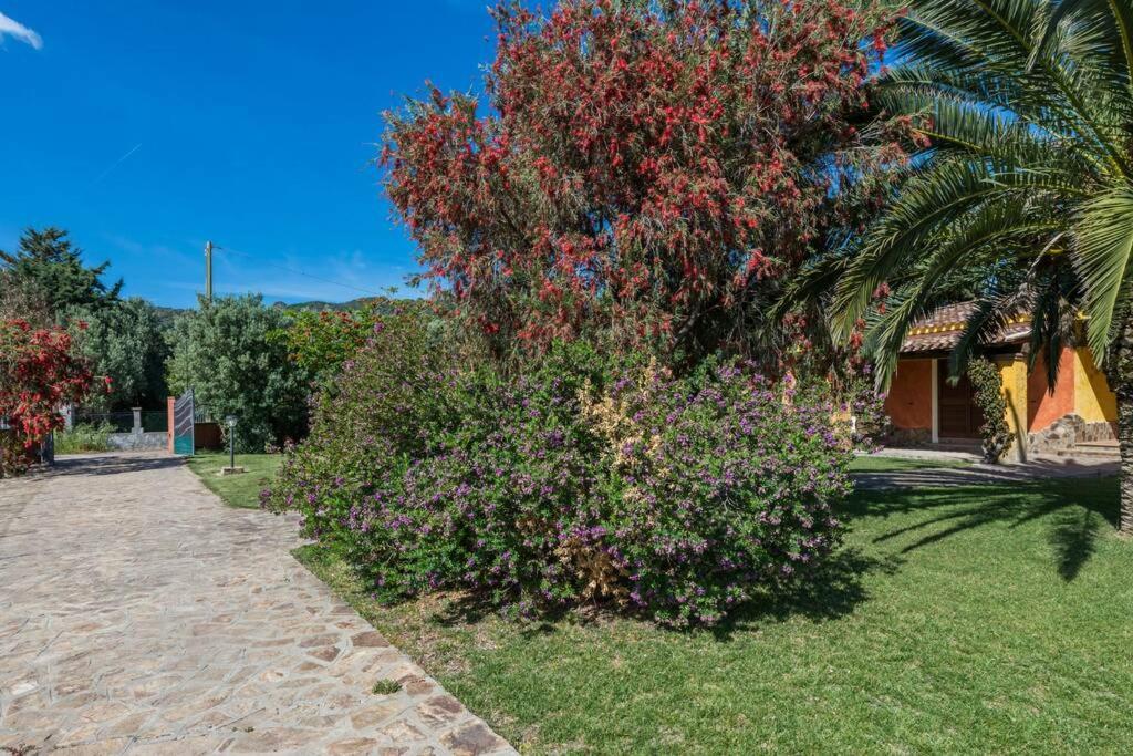 A Charming Country Cottage + Bikes And Kayaks Bosa Esterno foto