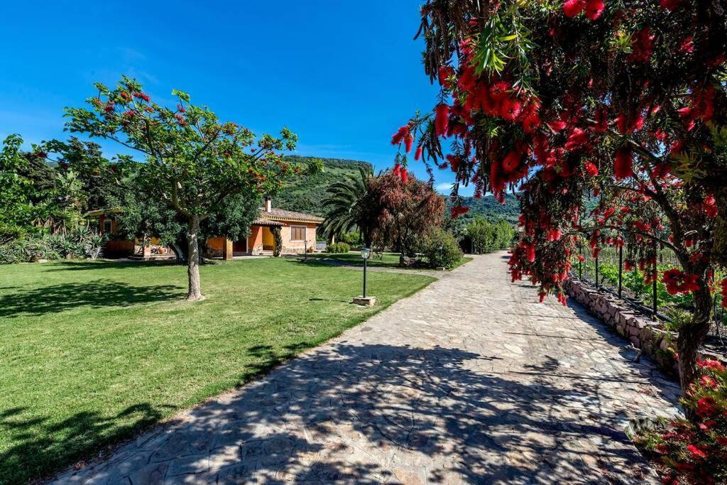 A Charming Country Cottage + Bikes And Kayaks Bosa Esterno foto