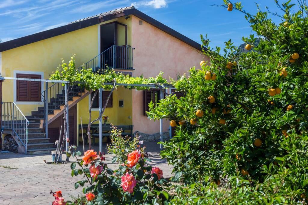 A Charming Country Cottage + Bikes And Kayaks Bosa Esterno foto