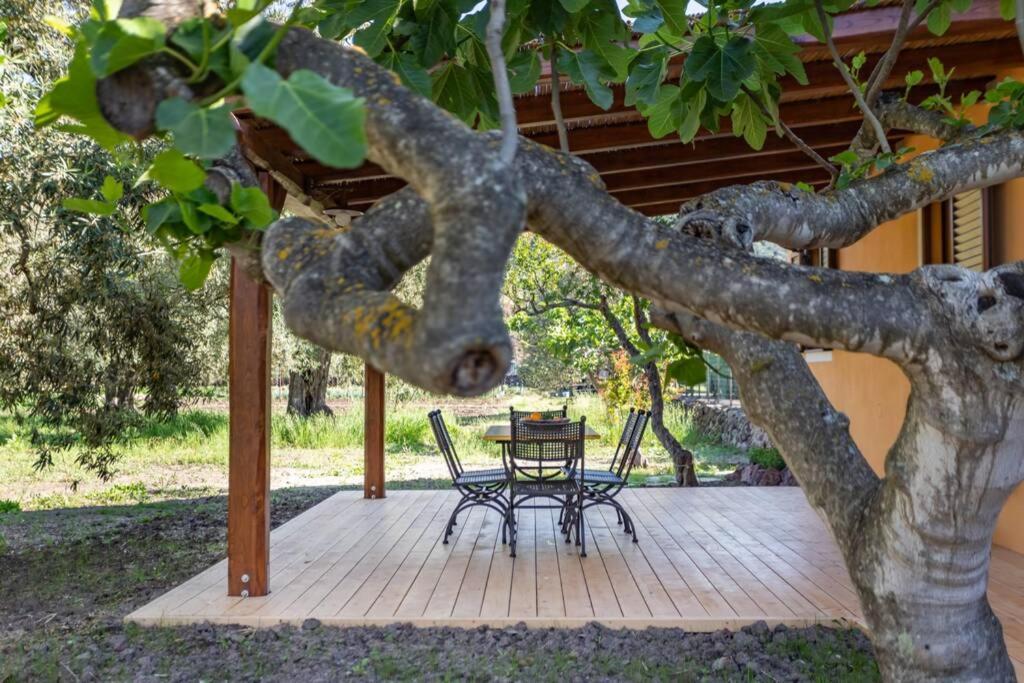 A Charming Country Cottage + Bikes And Kayaks Bosa Esterno foto