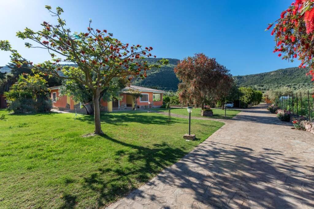 A Charming Country Cottage + Bikes And Kayaks Bosa Esterno foto