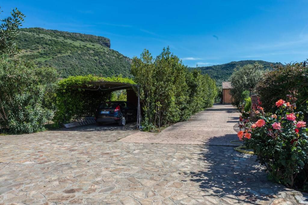 A Charming Country Cottage + Bikes And Kayaks Bosa Esterno foto